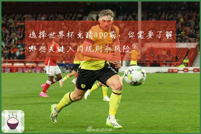 选择世界杯竞猜app前，你需要了解哪些关键入门规则和风险？
