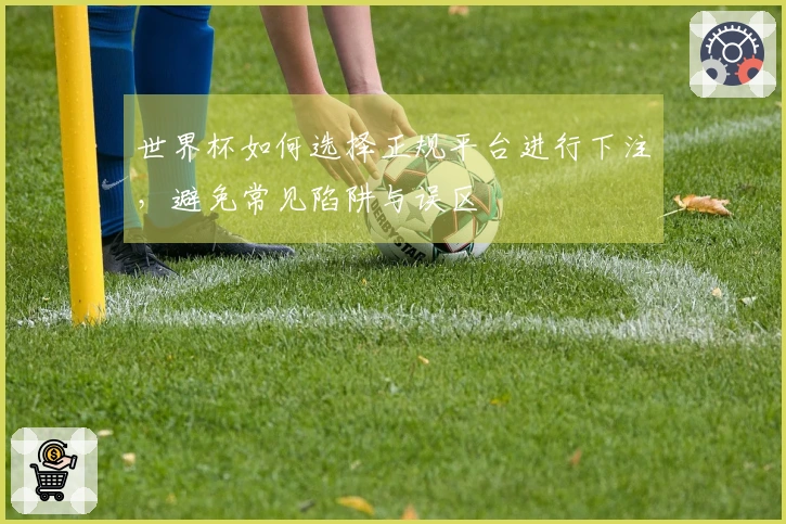 世界杯如何选择正规平台进行下注,避免常见陷阱与误区