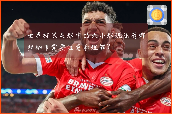 世界杯买足球中的大小球玩法有哪些细节需要注意和理解?