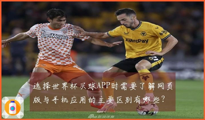 选择世界杯买球APP时需要了解网页版与手机应用的主要区别有哪些?