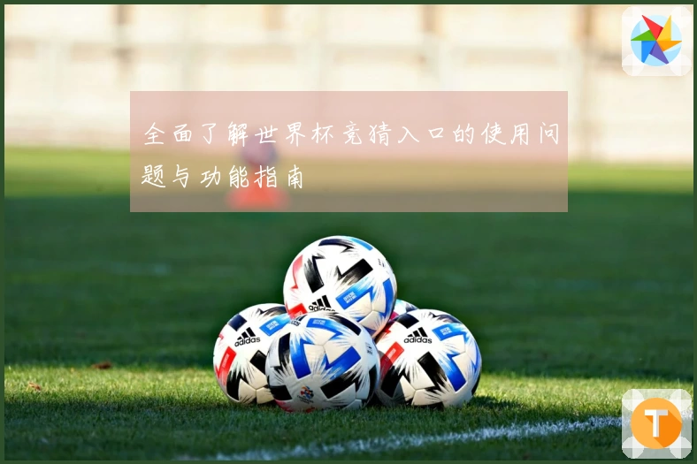 全面了解世界杯竞猜入口的使用问题与功能指南