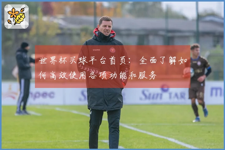 世界杯买球平台首页：全面了解如何高效使用各项功能和服务