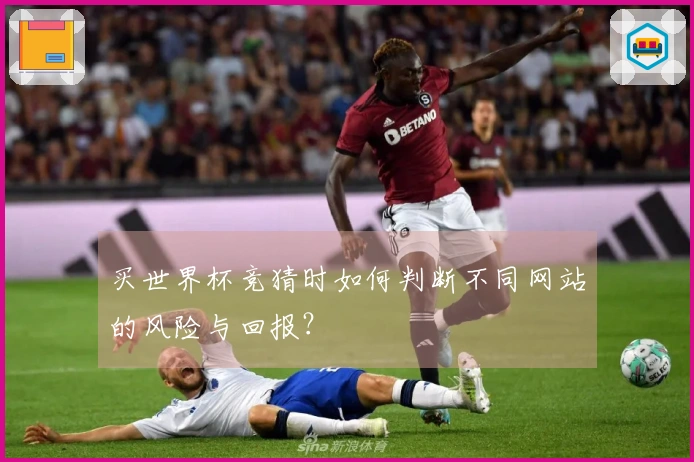 买世界杯竞猜时如何判断不同网站的风险与回报?