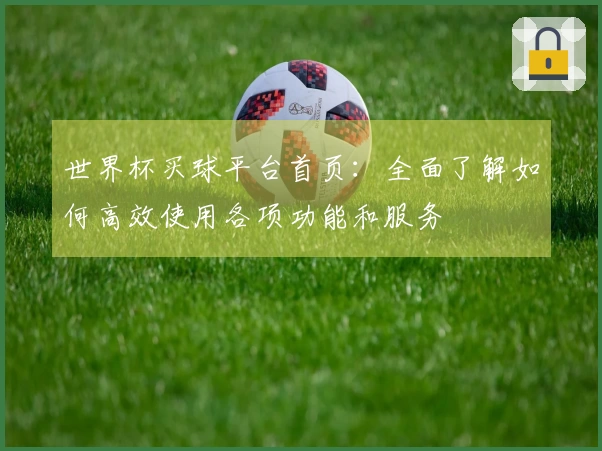 世界杯买球平台首页：全面了解如何高效使用各项功能和服务