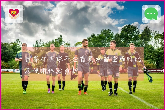 世界杯买球平台首页功能全面对比及使用体验分析