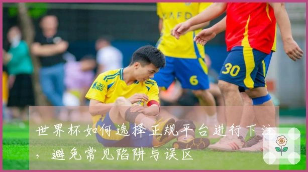 世界杯如何选择正规平台进行下注，避免常见陷阱与误区