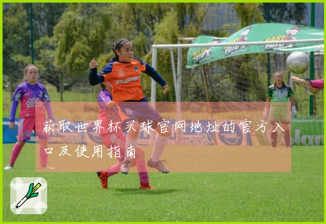 获取世界杯买球官网地址的官方入口及使用指南