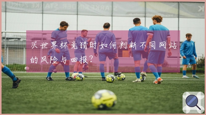 买世界杯竞猜时如何判断不同网站的风险与回报？