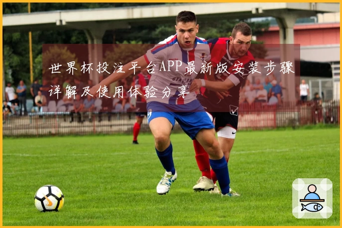 世界杯投注平台APP最新版安装步骤详解及使用体验分享